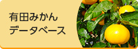 有田みかんデータべース（外部リンク・新しいウインドウで開きます）