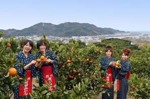 写真：みかん畑と女性たち