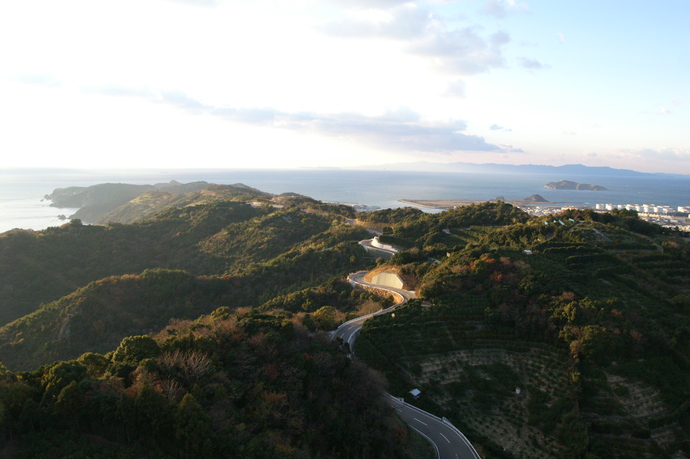 有田みかん海道1