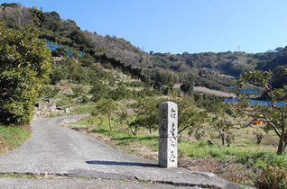 写真：熊野古道2