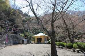 桜が咲き始めた豊松堂前広場の写真