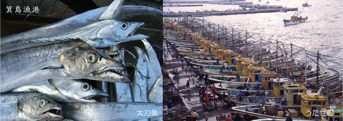 箕島漁港