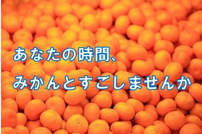 有田市みかん農業求人情報