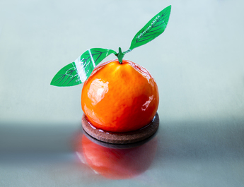 亀ちゃんのみかん