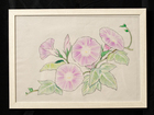 大人の塗り絵（朝顔）