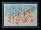 大人の塗り絵（桜）