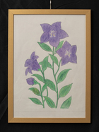 大人の塗り絵（桔梗）