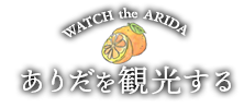 ありだを観光する
